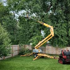 Best Grass Overseeding  in Sterling, GA